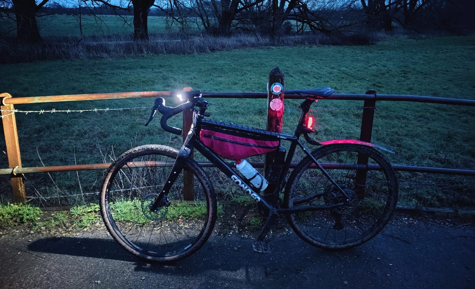 New Forest - rideable even in the wet winter